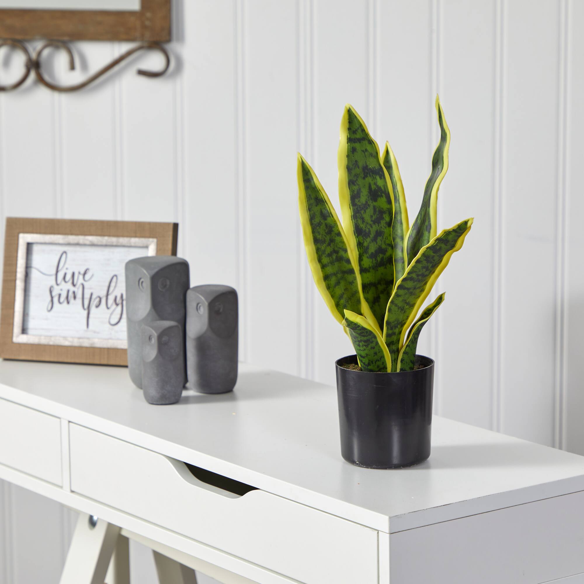 14" Potted Variegated Snake Plant
